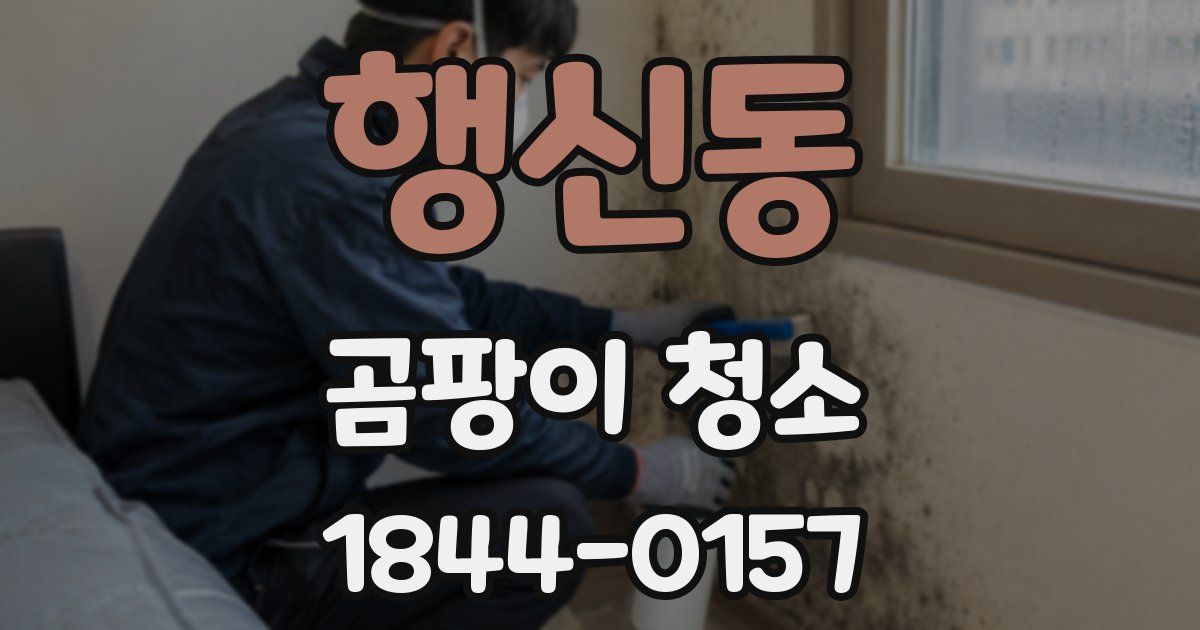 행신동 곰팡이 청소