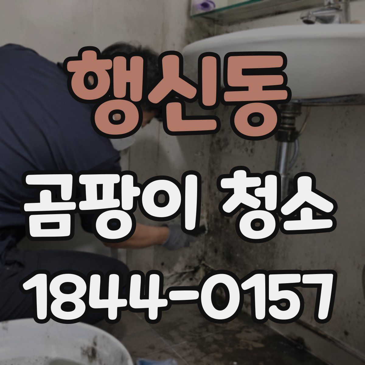 행신동 곰팡이 청소