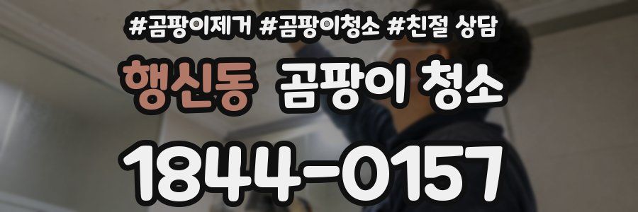 행신동 곰팡이 청소