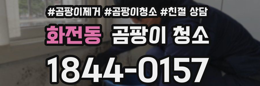화전동 곰팡이 청소