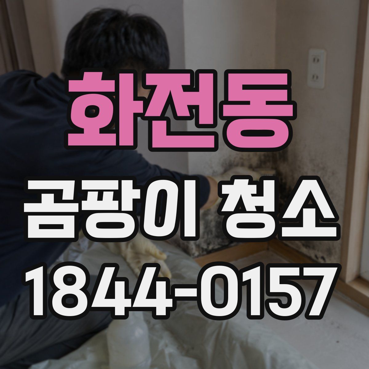 화전동 곰팡이 청소