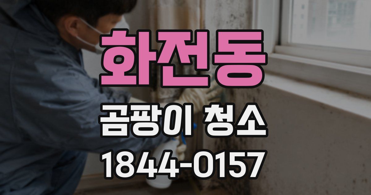 화전동 곰팡이 청소