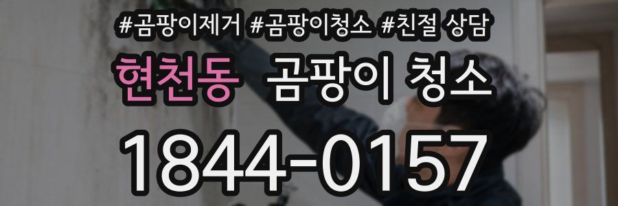 현천동 곰팡이 청소