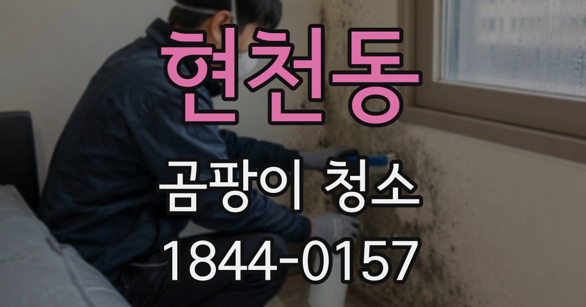 현천동 곰팡이 청소