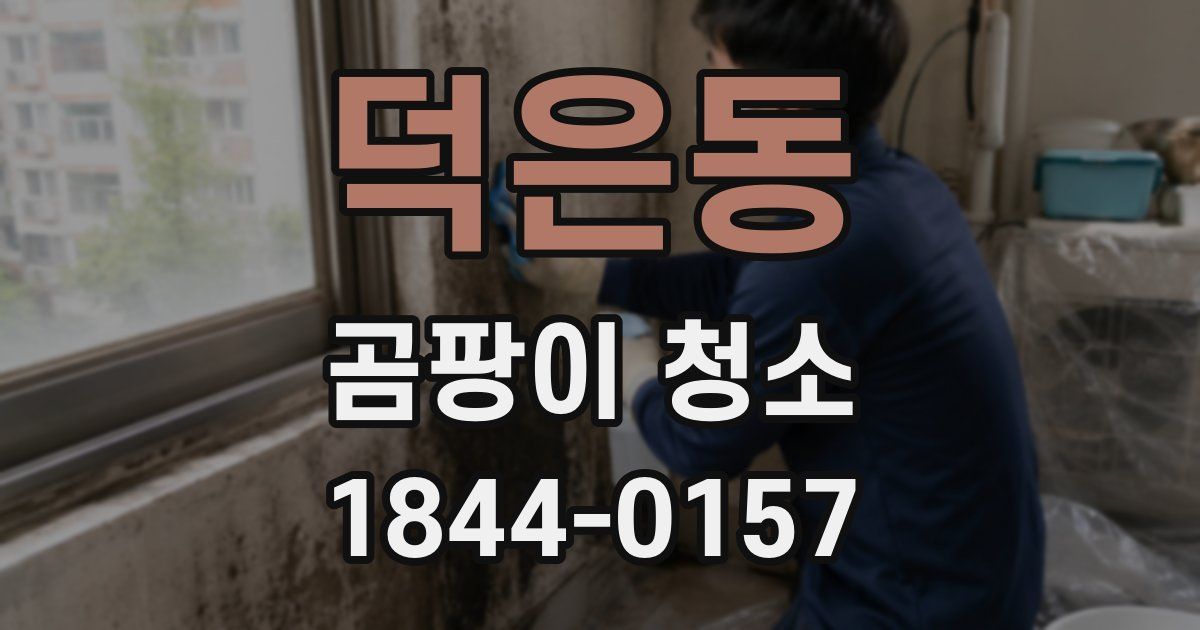덕은동 곰팡이 청소