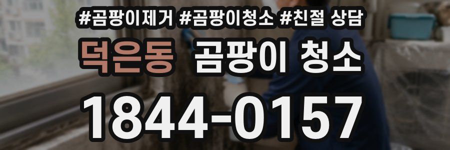 덕은동 곰팡이 청소