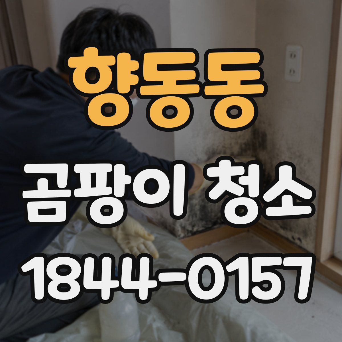 향동동 곰팡이 청소