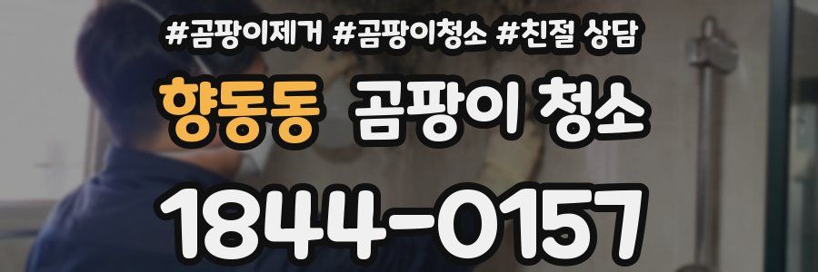 향동동 곰팡이 청소