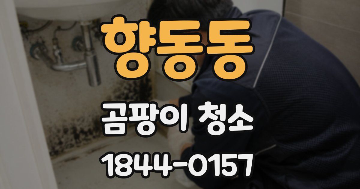 향동동 곰팡이 청소