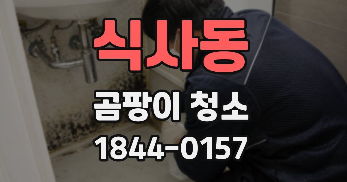 식사동 곰팡이 청소