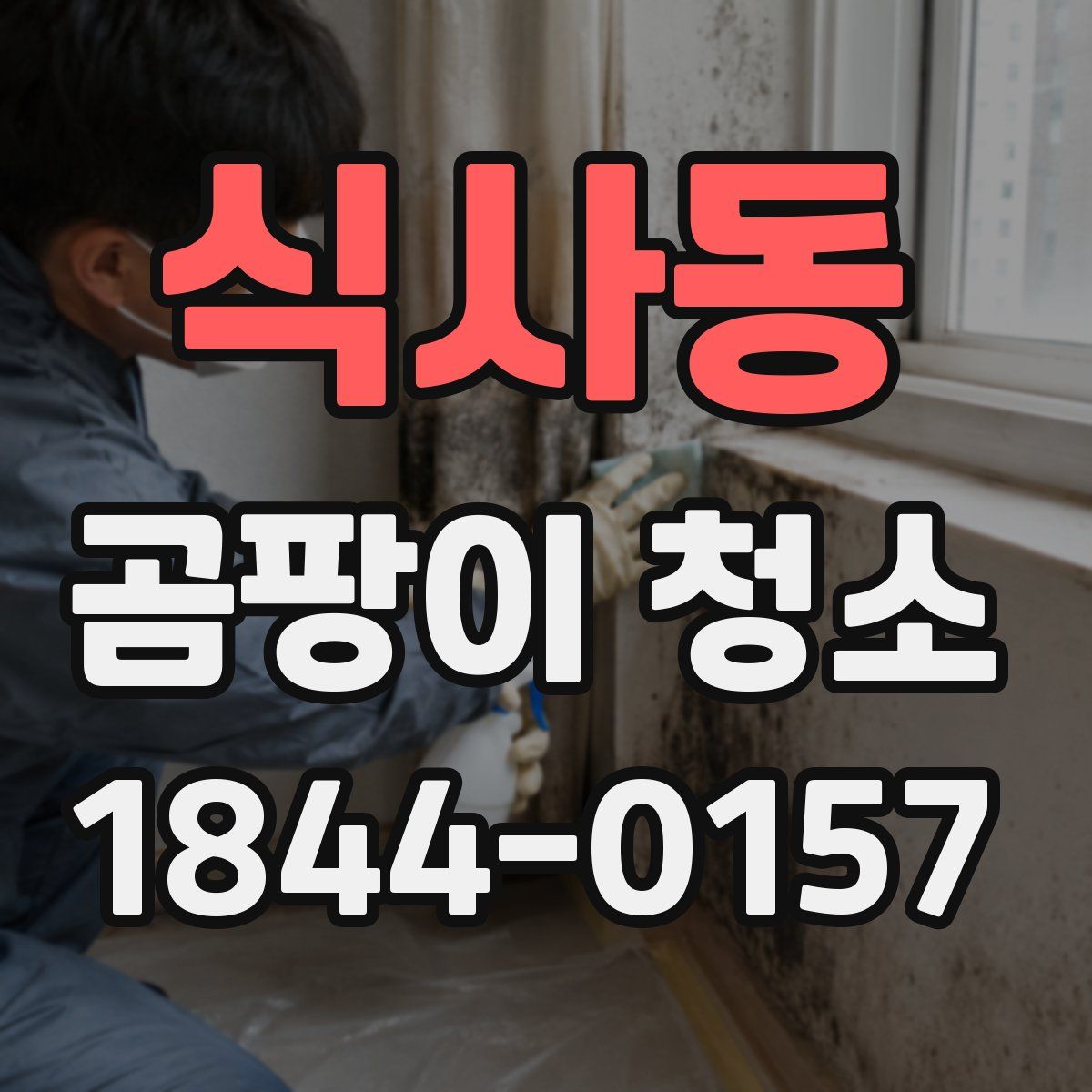 식사동 곰팡이 청소