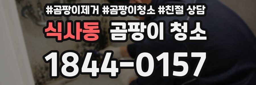 식사동 곰팡이 청소