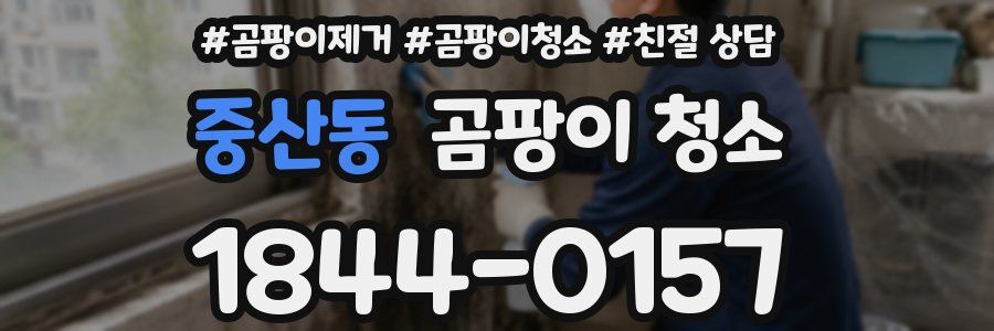중산동 곰팡이 청소
