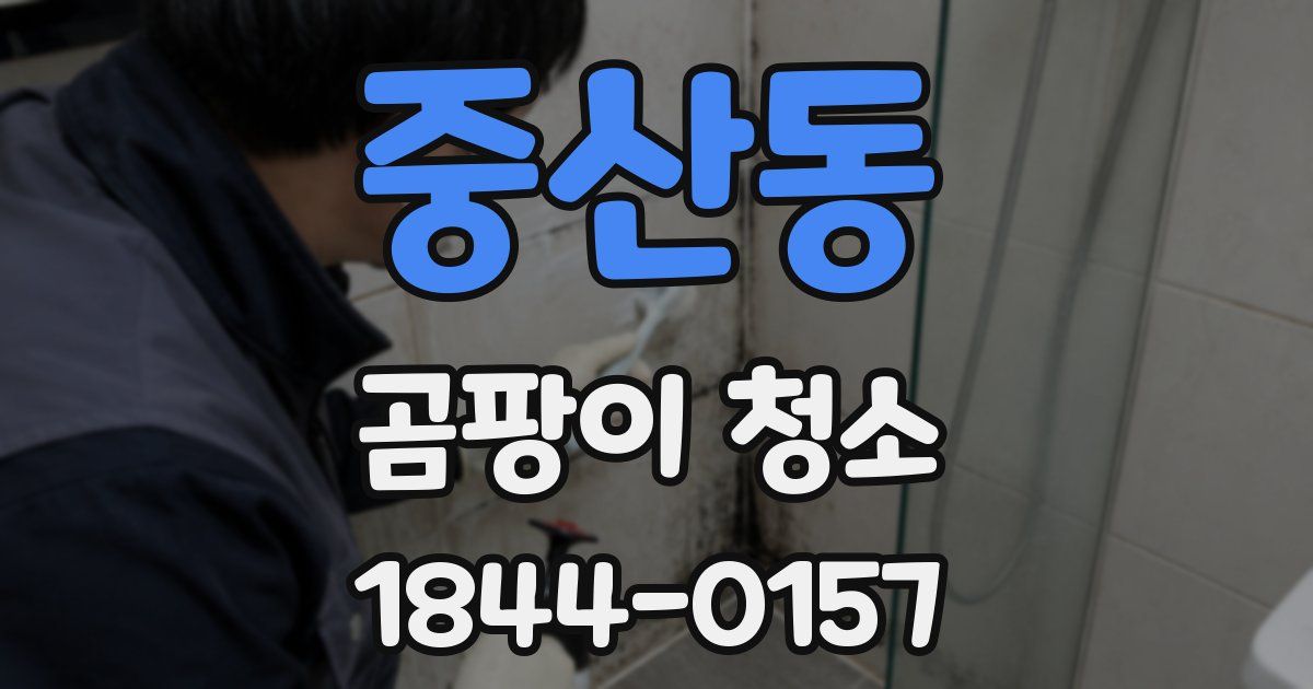 중산동 곰팡이 청소