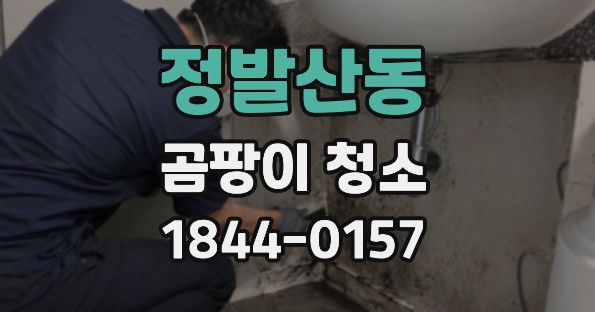 정발산동 곰팡이 청소