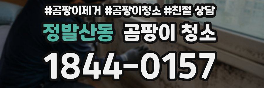 정발산동 곰팡이 청소