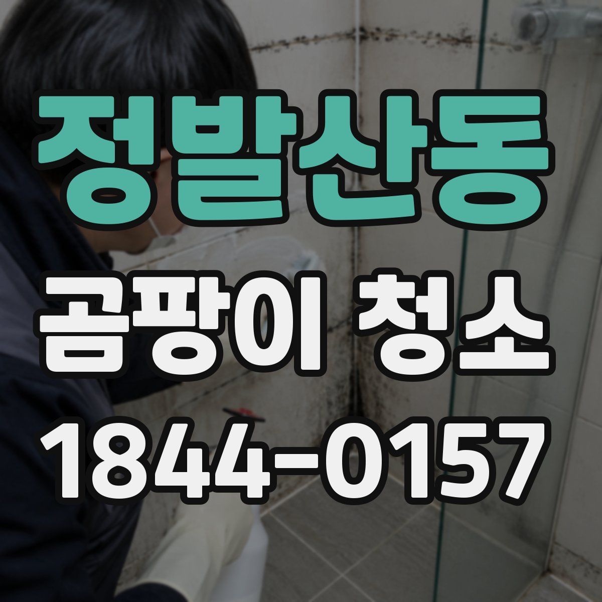정발산동 곰팡이 청소