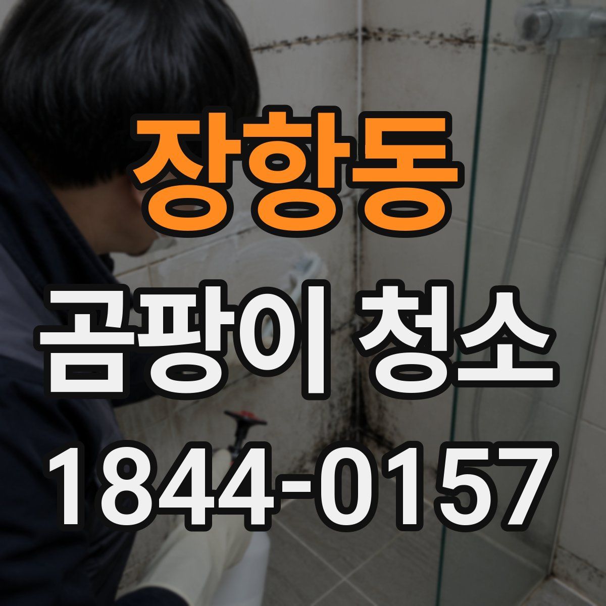 장항동 곰팡이 청소