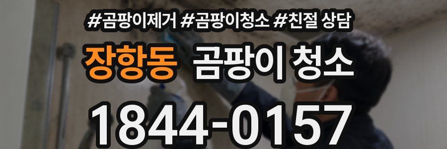 장항동 곰팡이 청소