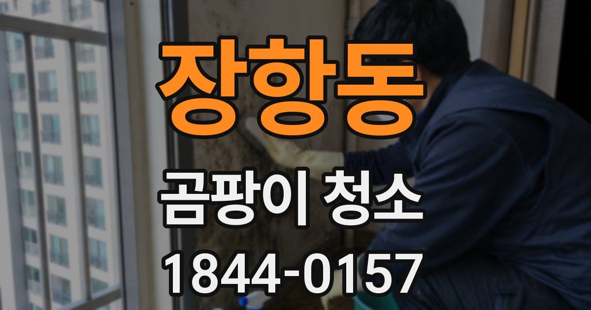 장항동 곰팡이 청소