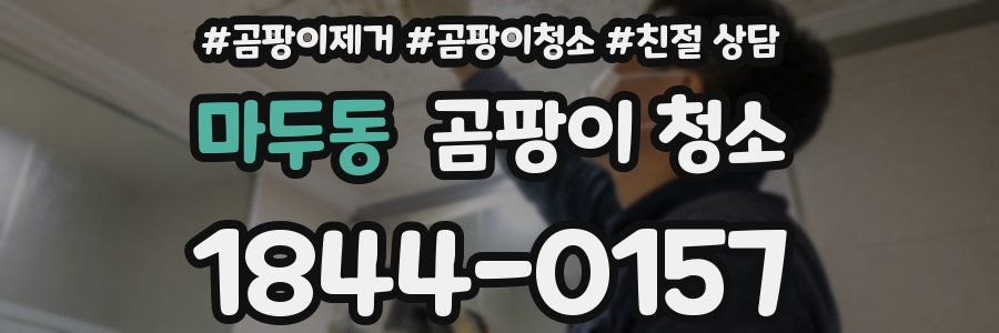 마두동 곰팡이 청소