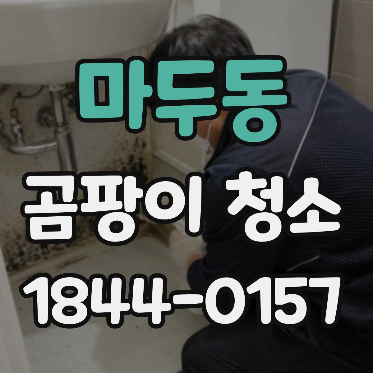 마두동 곰팡이 청소
