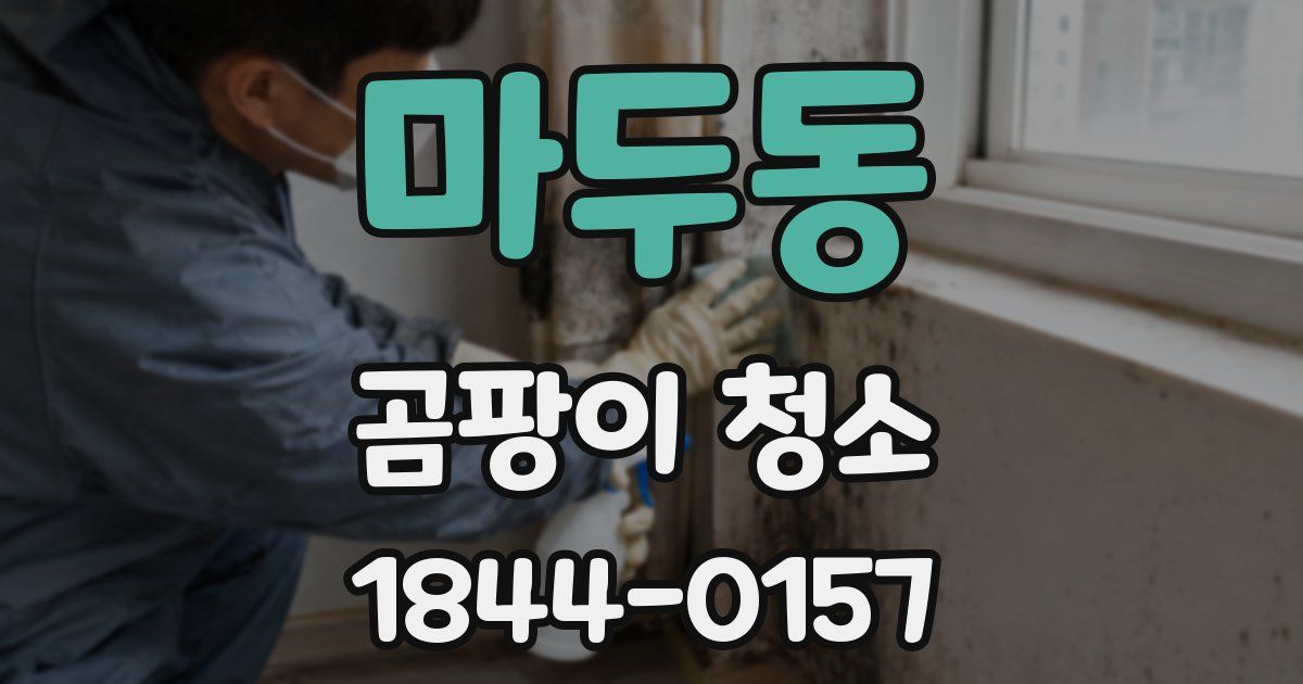 마두동 곰팡이 청소
