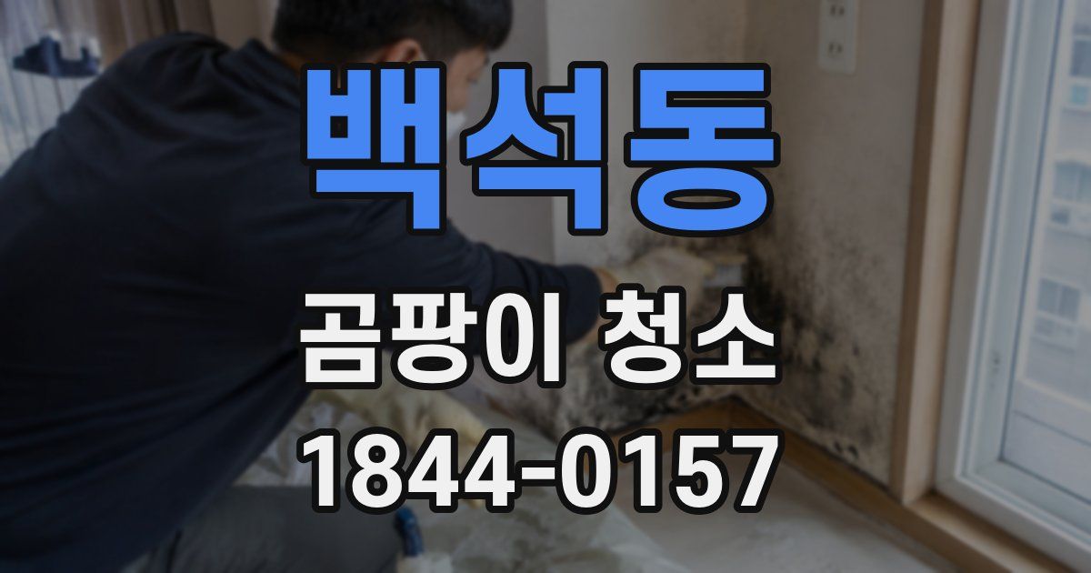백석동 곰팡이 청소