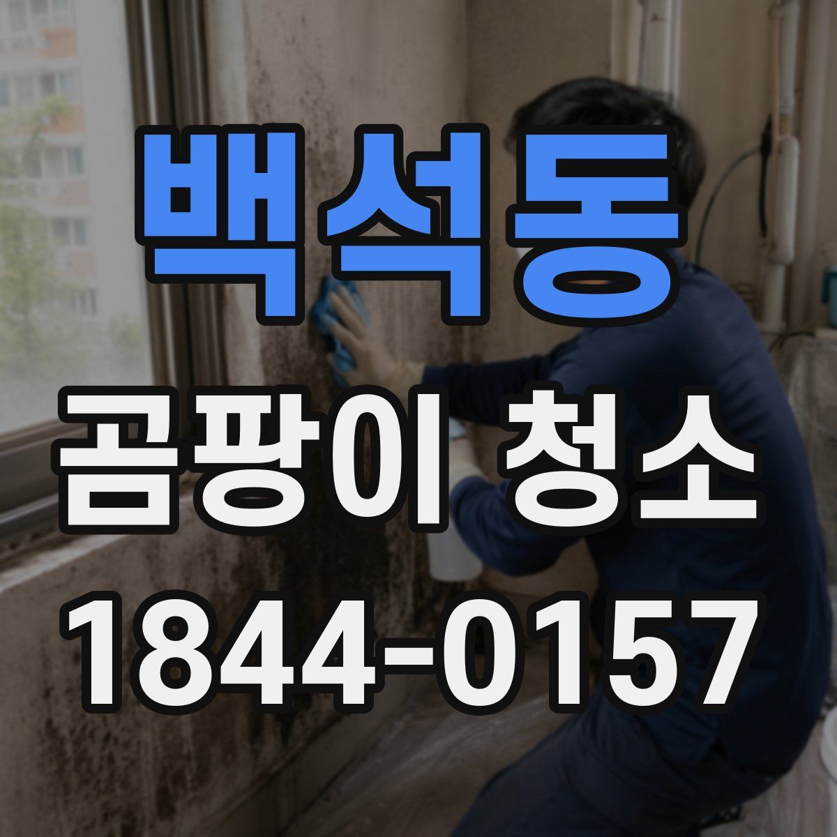 백석동 곰팡이 청소