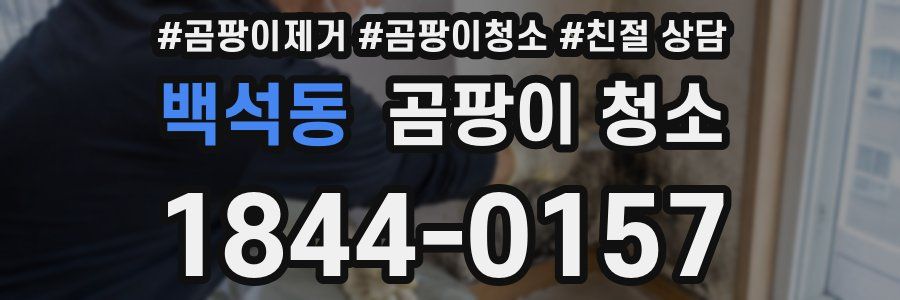 백석동 곰팡이 청소