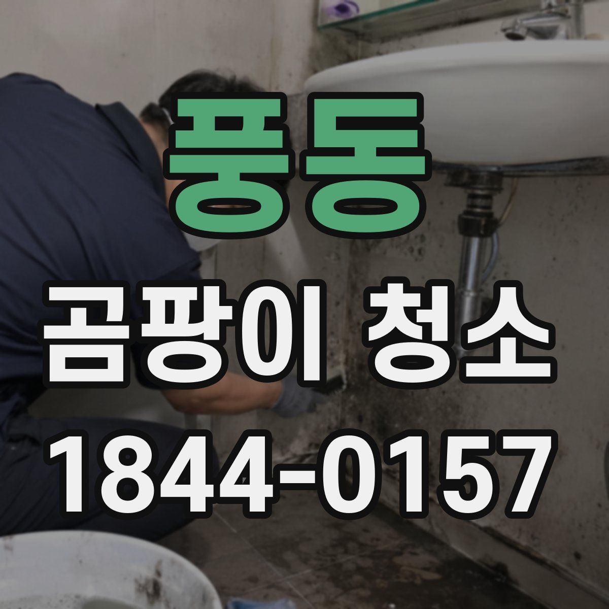 풍동 곰팡이 청소
