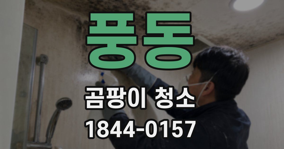 풍동 곰팡이 청소