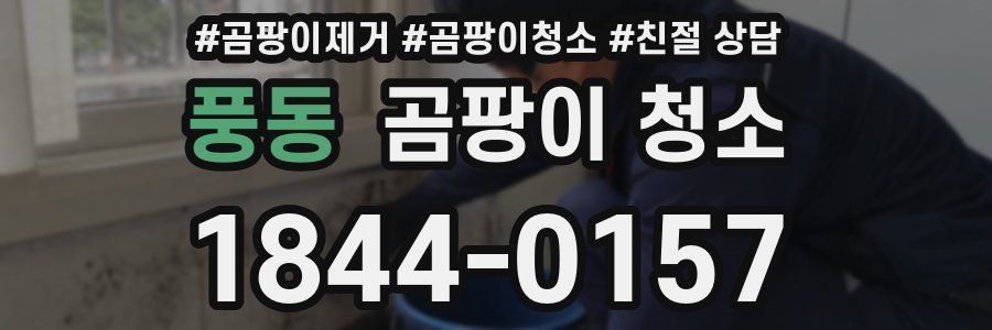 풍동 곰팡이 청소