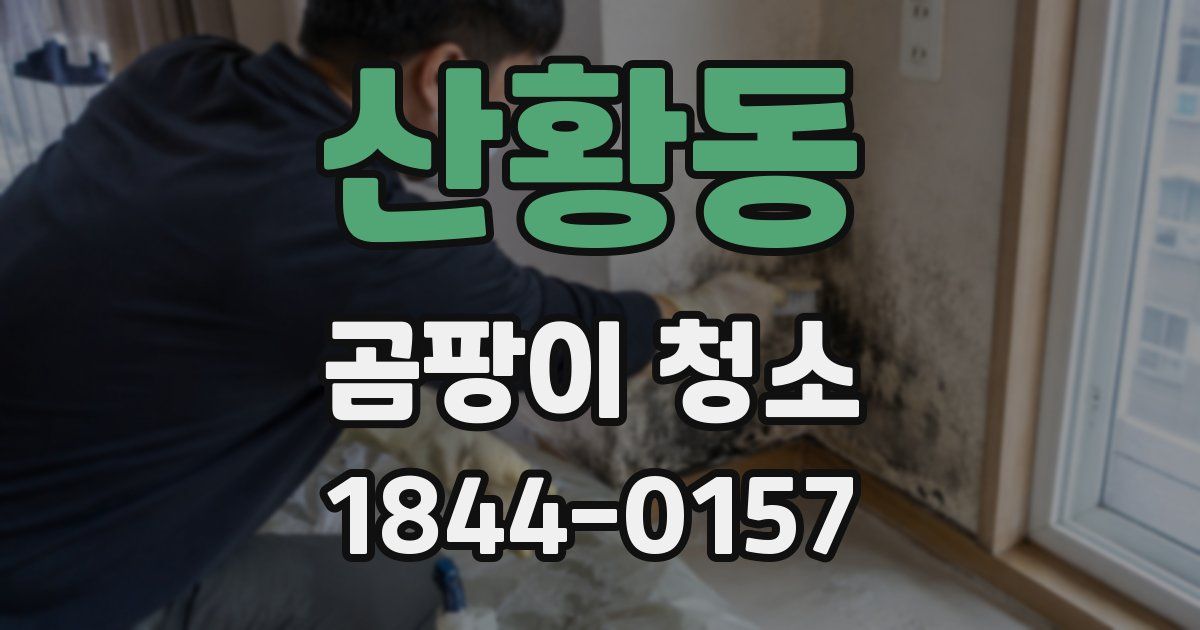 산황동 곰팡이 청소