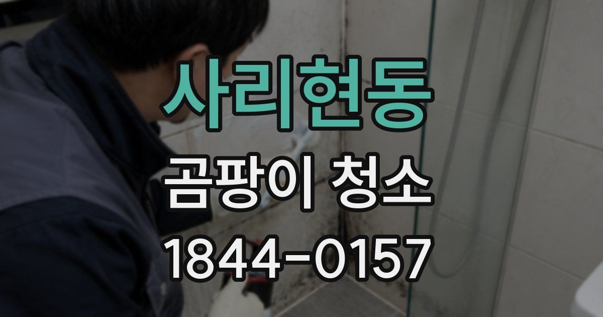 사리현동 곰팡이 청소