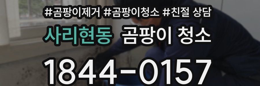 사리현동 곰팡이 청소