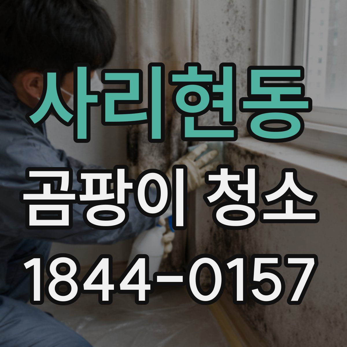 사리현동 곰팡이 청소