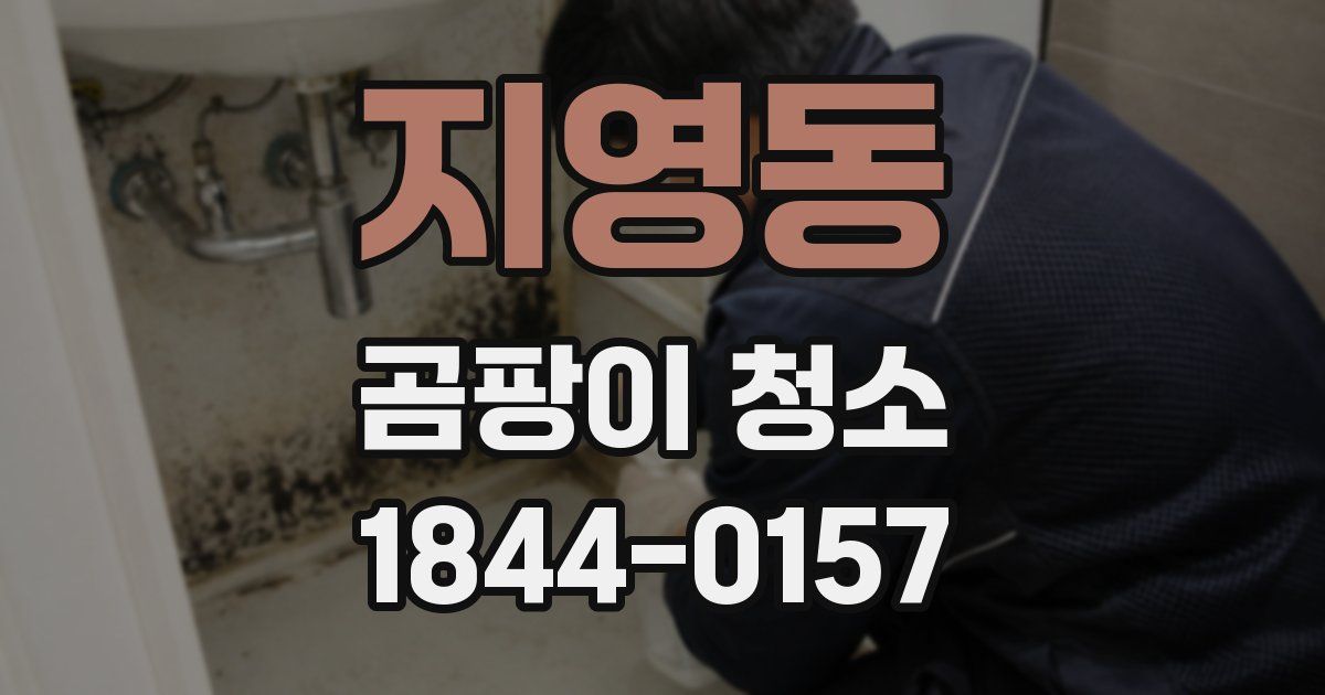 지영동 곰팡이 청소