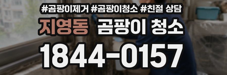 지영동 곰팡이 청소