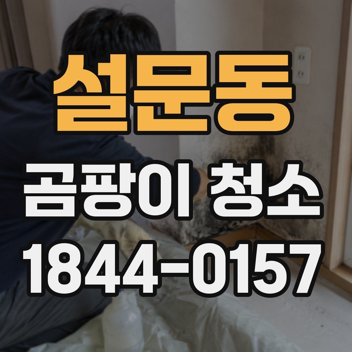 설문동 곰팡이 청소 후 마르는 시간과 주의사항