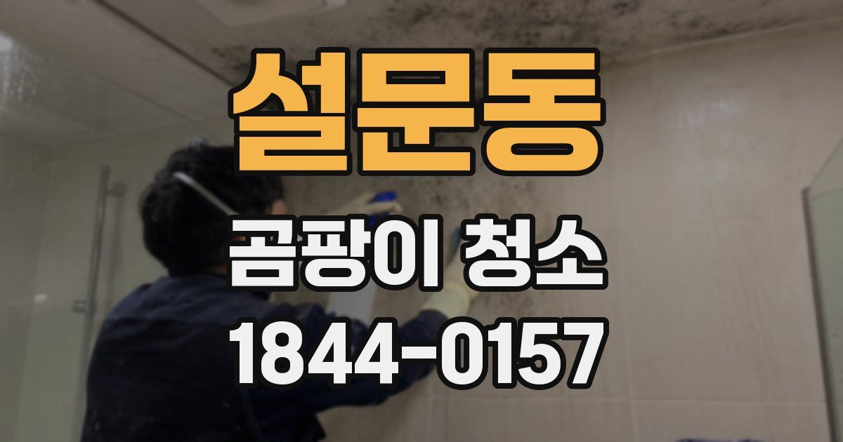 설문동 곰팡이 청소