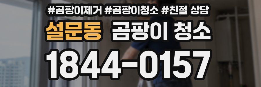 설문동 곰팡이 청소