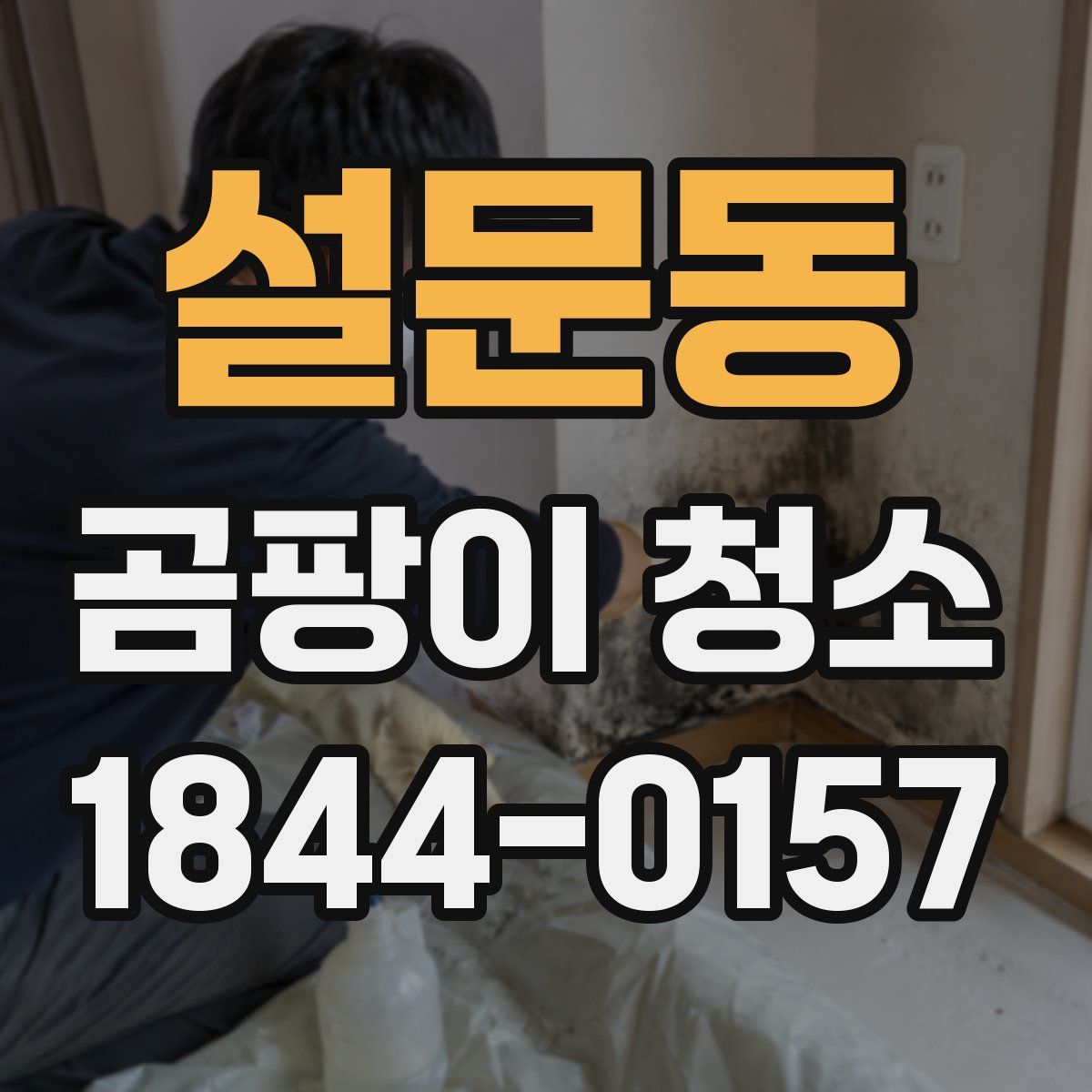 설문동 곰팡이 청소