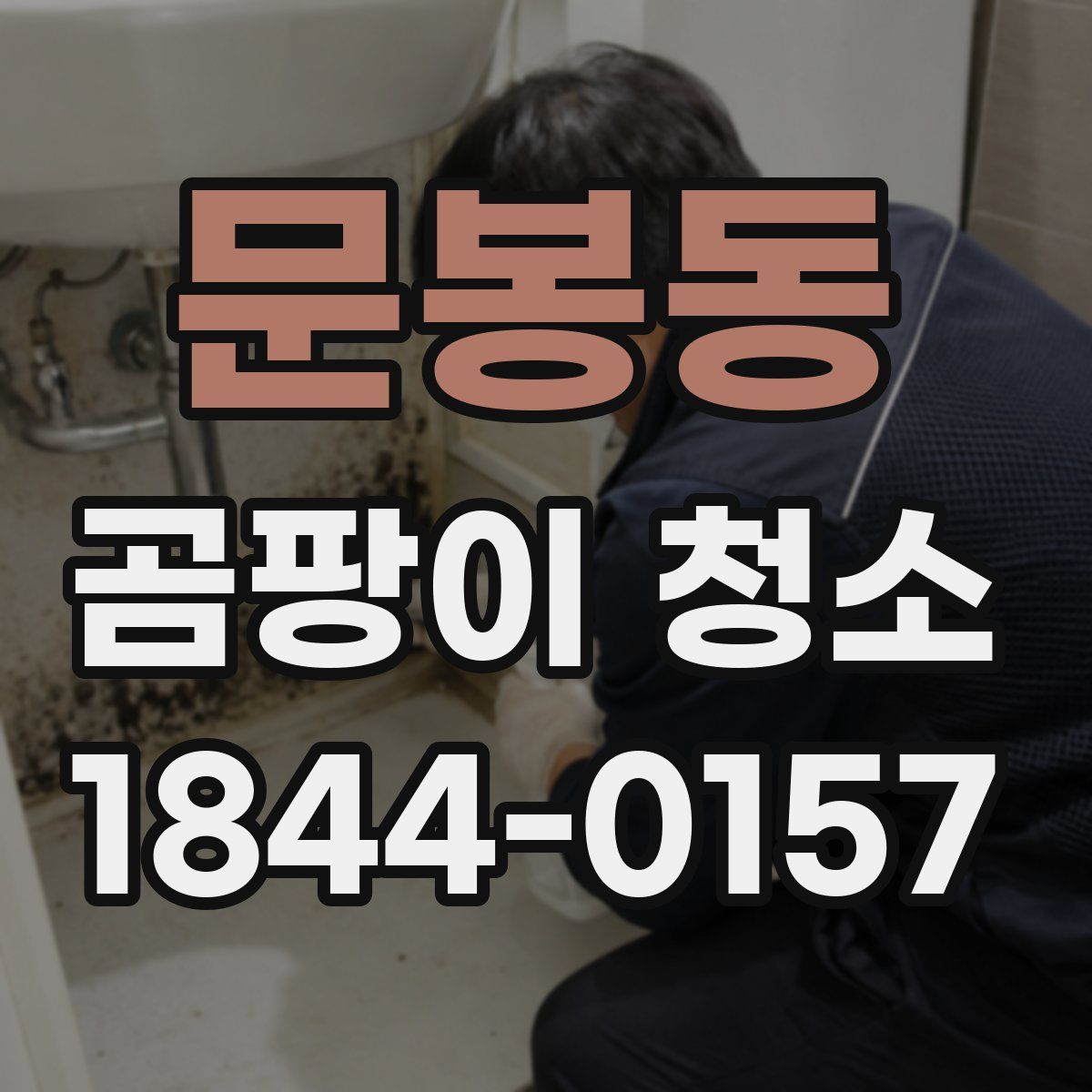 문봉동 곰팡이 청소