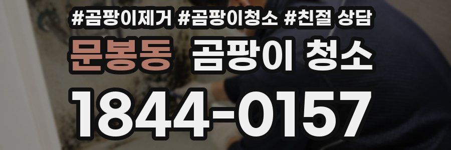 문봉동 곰팡이 청소