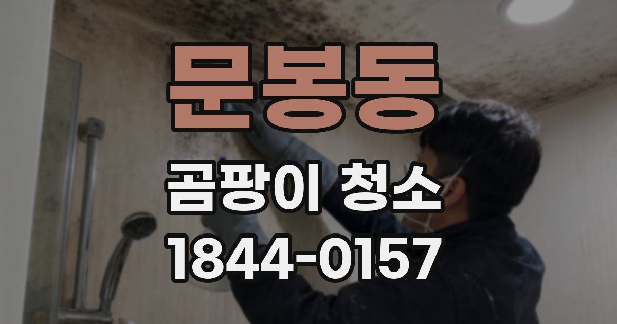 문봉동 곰팡이 청소