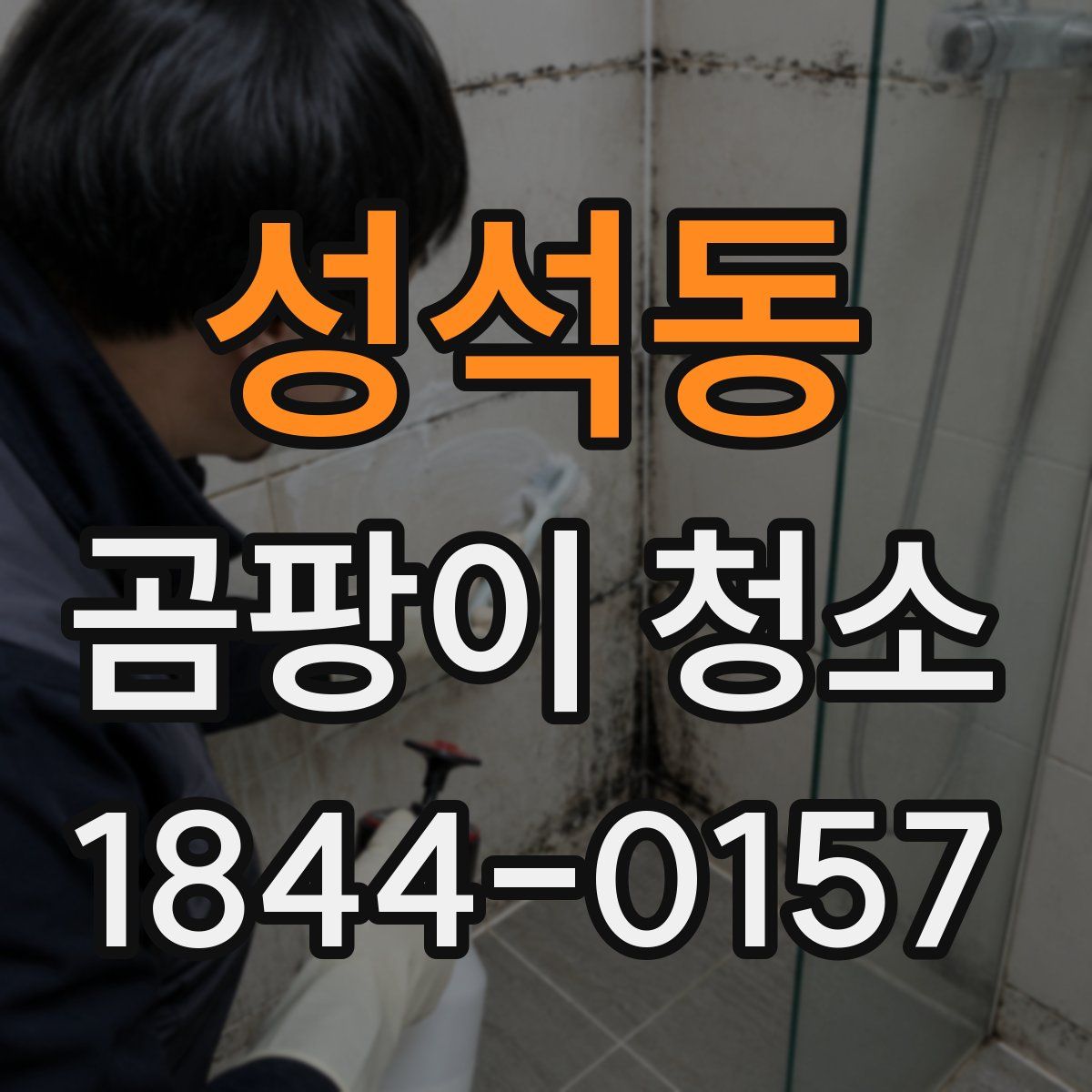 성석동 곰팡이 청소
