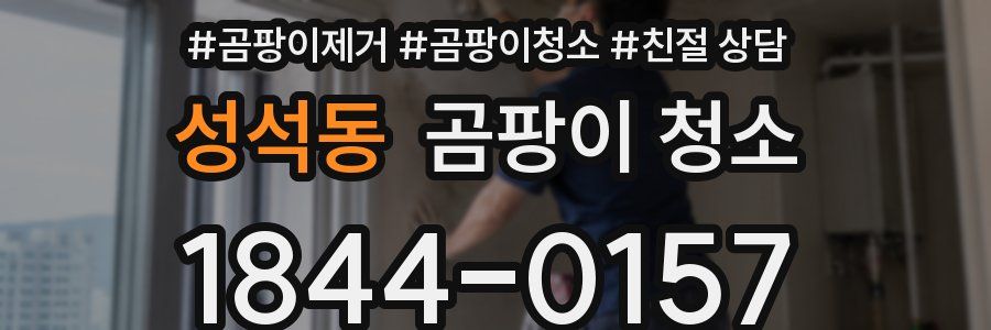 성석동 곰팡이 청소