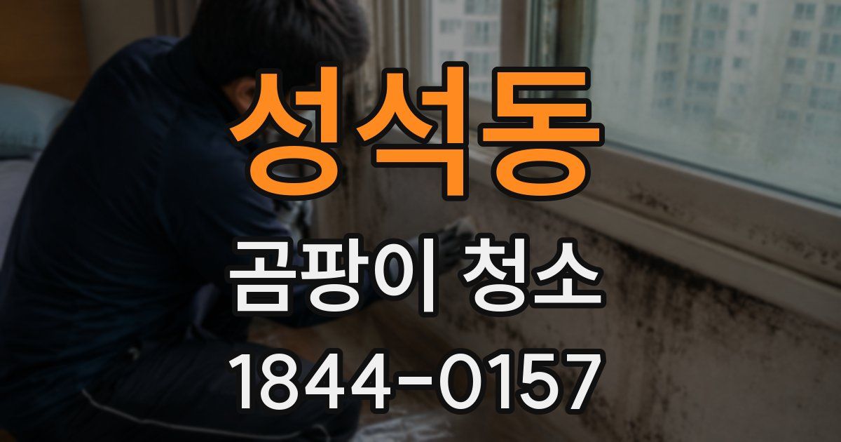 성석동 곰팡이 청소