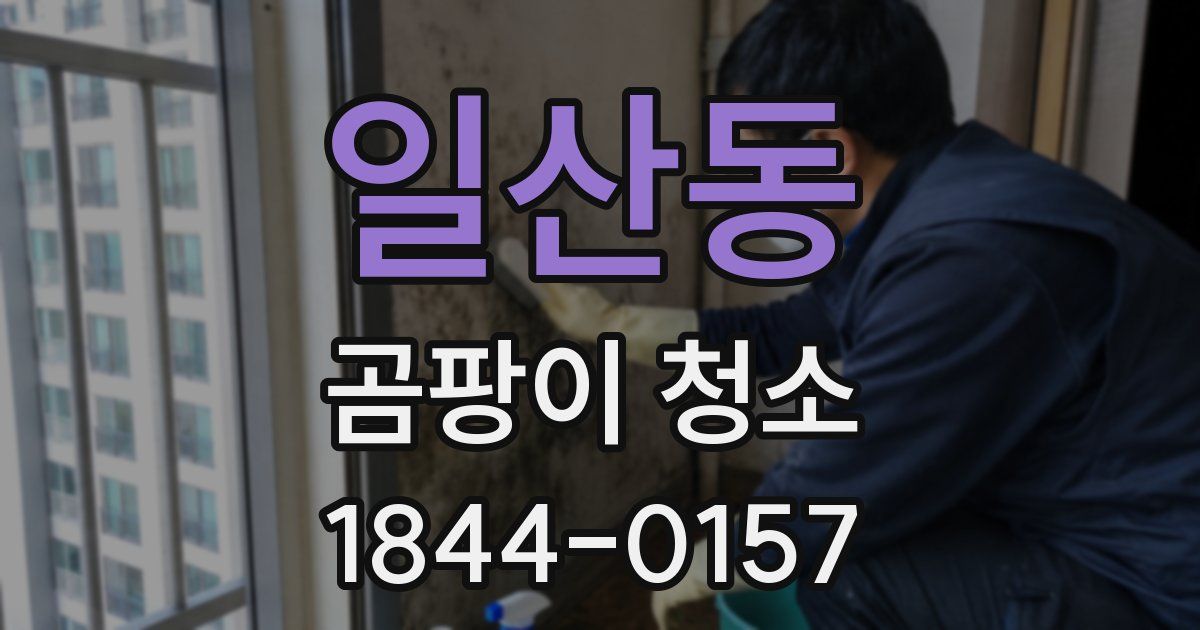 일산동 곰팡이 청소